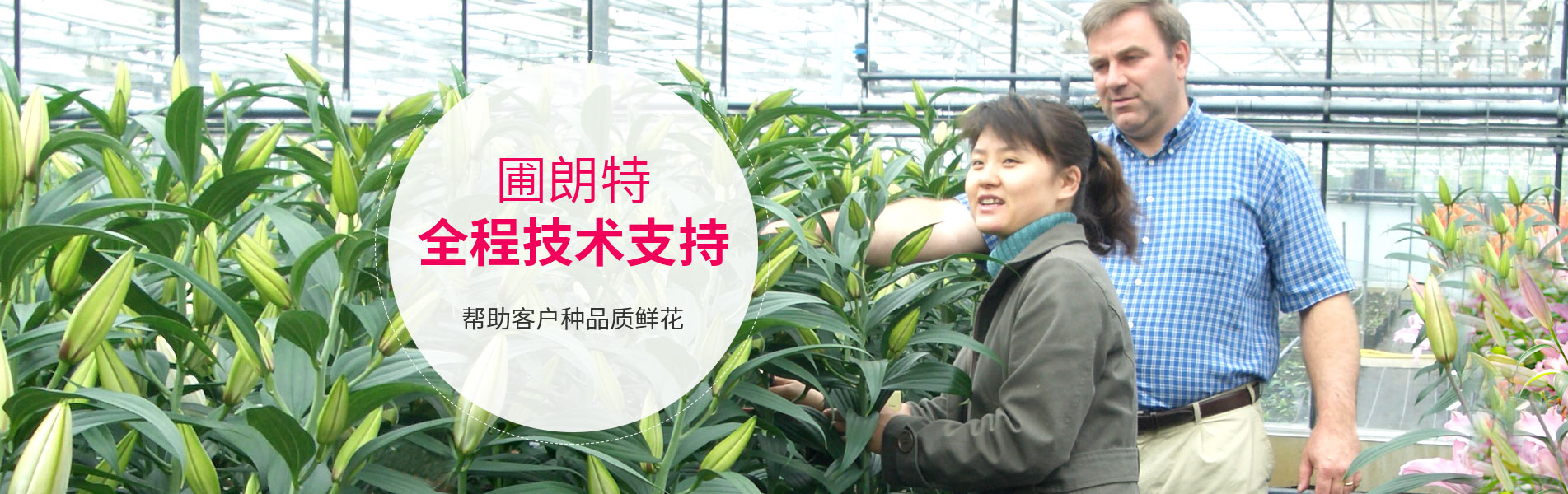 圃朗特全程技術(shù)支持